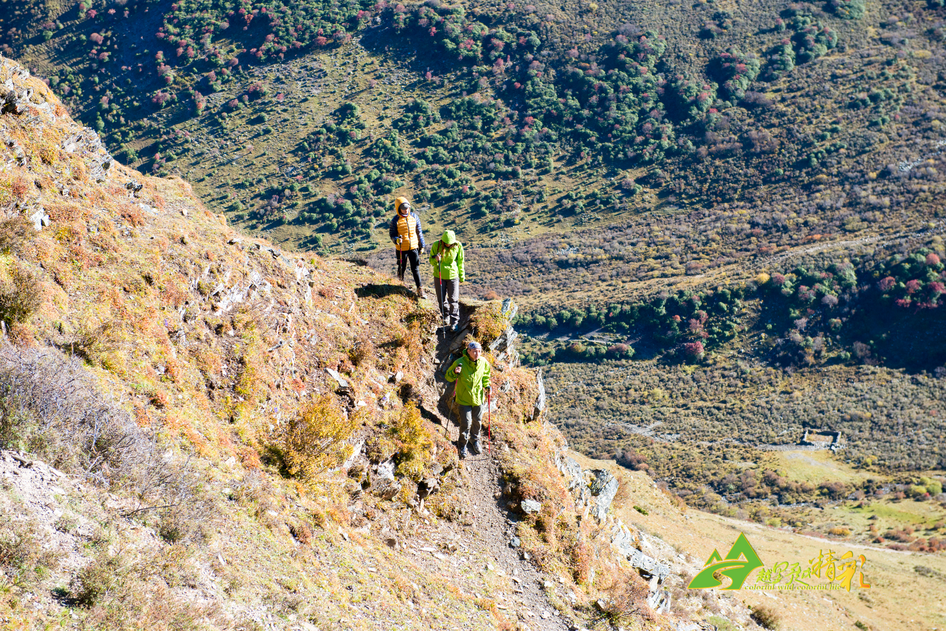 大胆外观凸 大胆外观凸