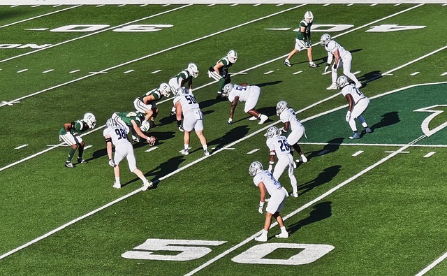 训练到后期 训练到后期