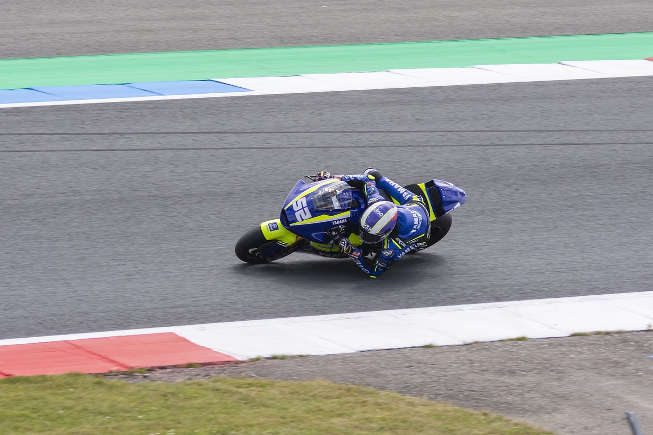 供了坚实的 供了坚实的