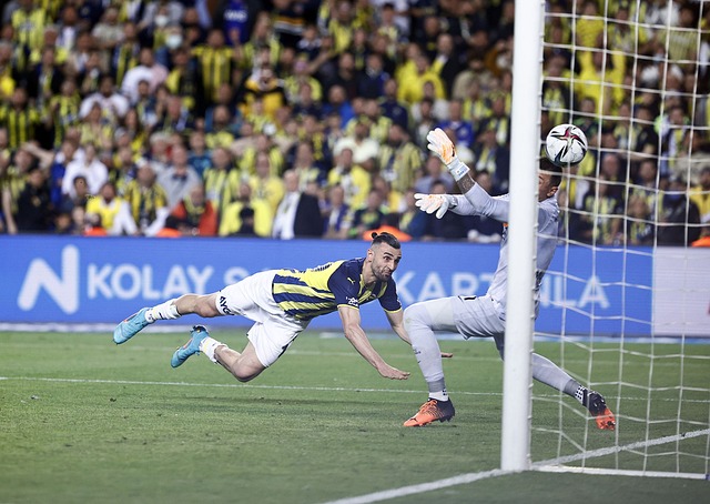 随着全红婵 随着全红婵