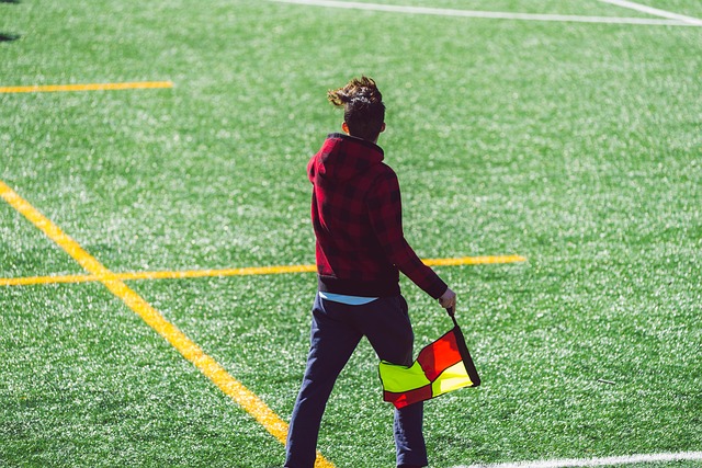 这为我们提 这为我们提