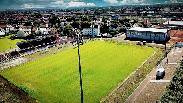 某些球员表 某些球员表